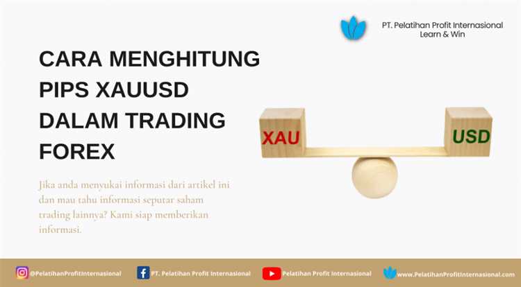 Bagaimana Pips Digunakan untuk Mengidentifikasi Peluang dan Risiko di Pasar Forex