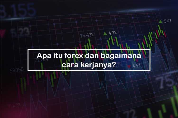 Penjelasan tentang komponen-komponen sebuah grafik Forex