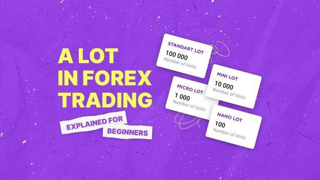 Memahami Jenis-Jenis Lot yang Digunakan dalam Trading Forex