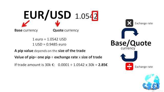 Konsep Dasar Pips dalam Trading Forex