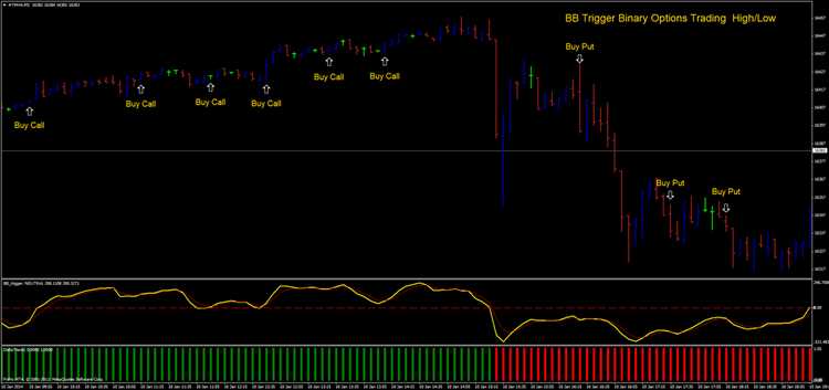 Binary options fiji