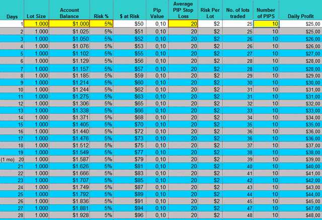 Calculator forex profit