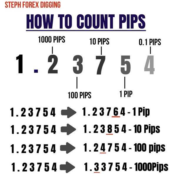 Forex how to calculate pips