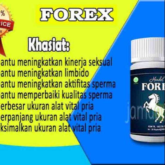 Forex obat kuat