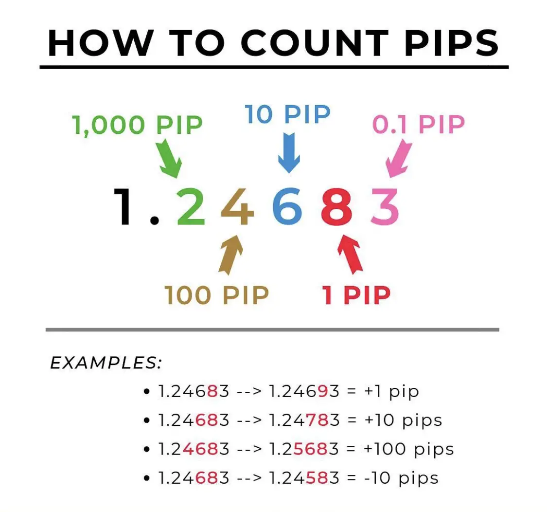 Forex pips