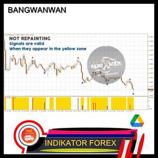 Harga pil forex