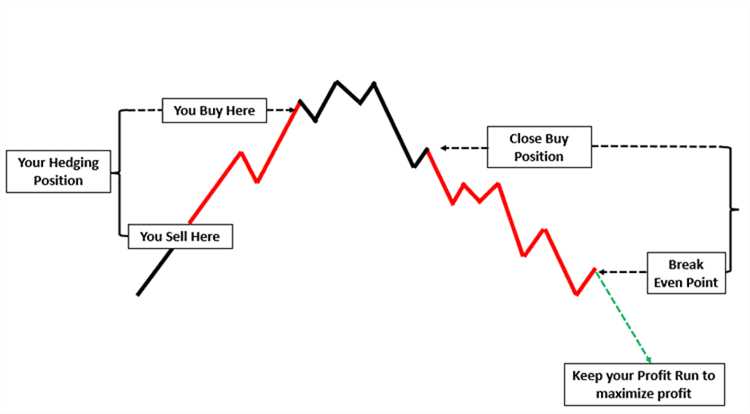 Pengertian Hedging Forex dan Prinsip Dasarnya