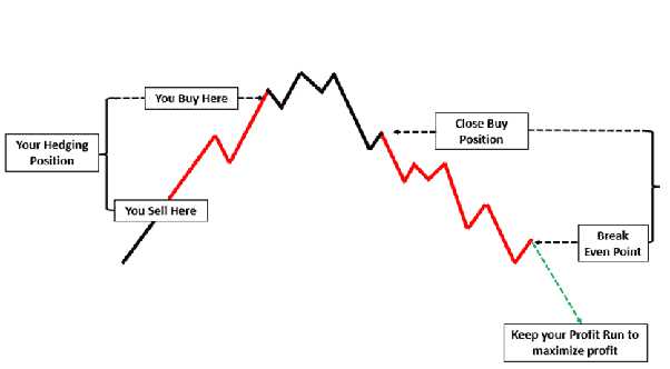 Tren dan Prediksi Hedging dalam Forex