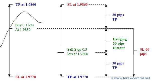 Tujuan Hedging dalam Forex