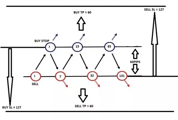 Hedging in forex