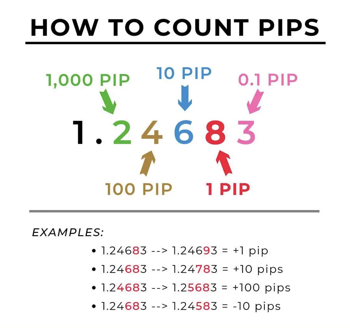 How to count pips forex