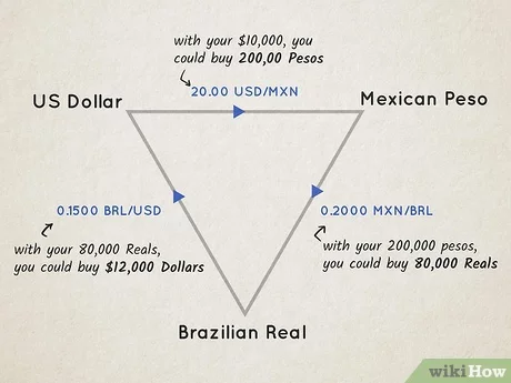 Panduan untuk Pemula dalam Trading Forex