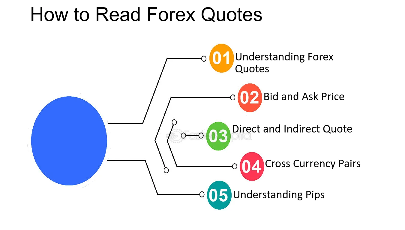 How to read forex quotes