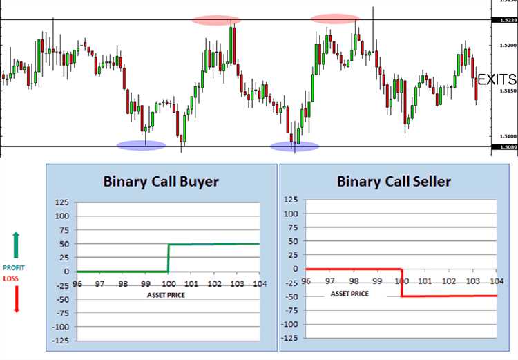 How to use binary options