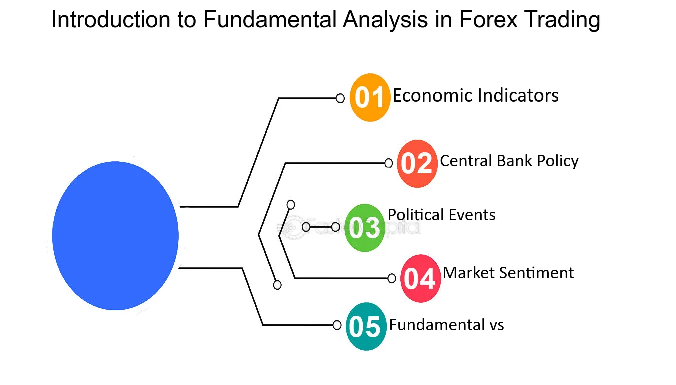 How to use fundamental analysis in forex