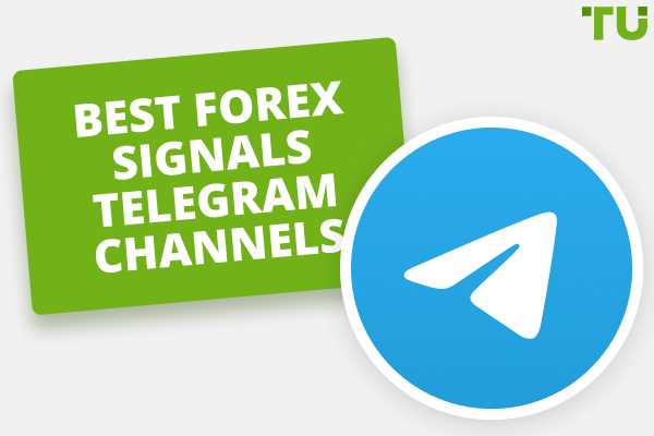 Signal forex telegram