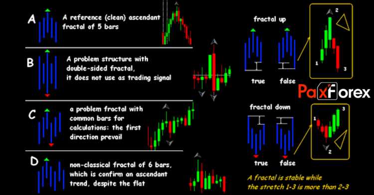 What are fractals in forex