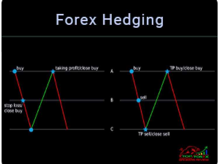 What does hedging mean in forex