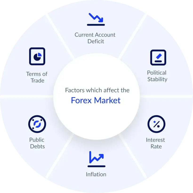 Jenis-jenis Peserta dalam Pasar Forex