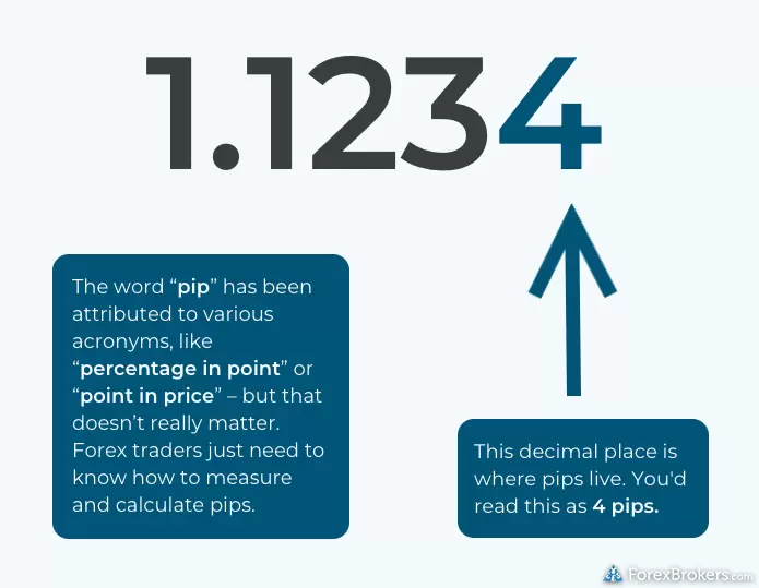 What the meaning of pip value in forex